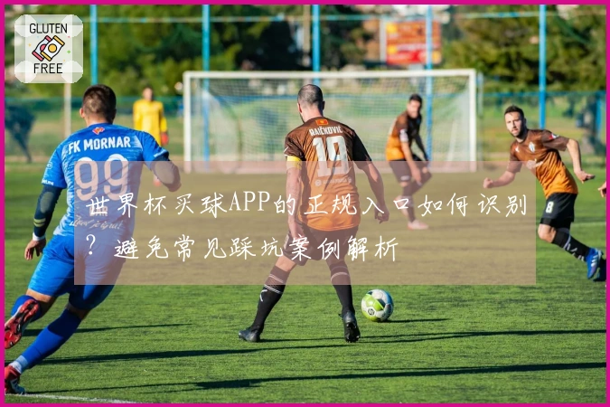 世界杯买球APP的正规入口如何识别？避免常见踩坑案例解析